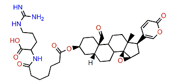 3-(N-Pimeloyl argininyl)-resibufagin